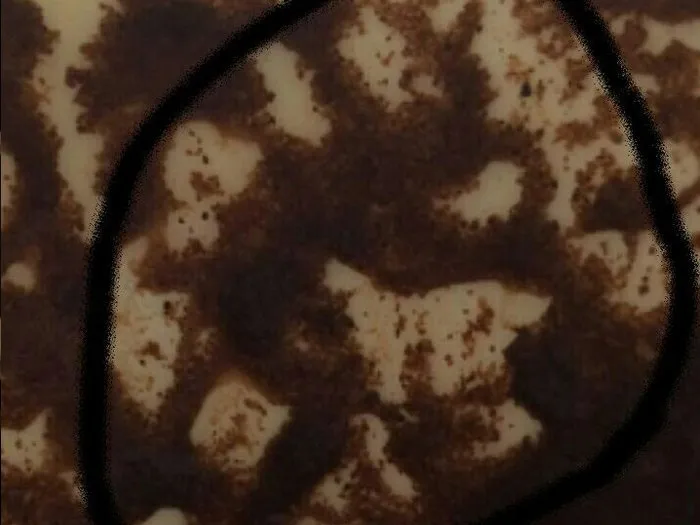 Запись на прием к гадалке в Великом